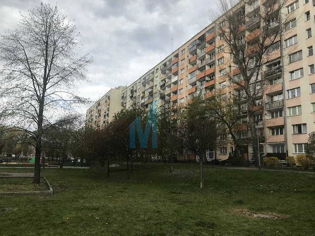 Mieszkanie Wynajem  Bielany 17