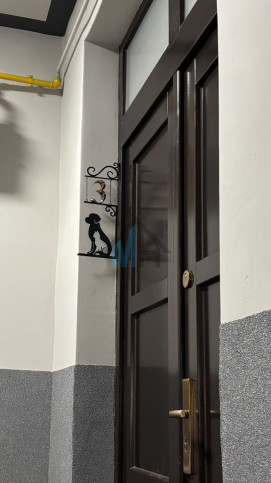 Mieszkanie Wynajem Chorzów Krzywa 24