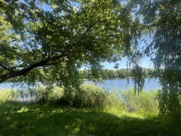Mieszkanie Sprzedaż Olsztyn