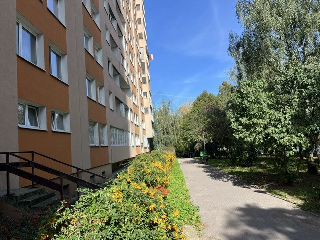 Mieszkanie Wynajem Warszawa Bielany Gwiaździsta 1